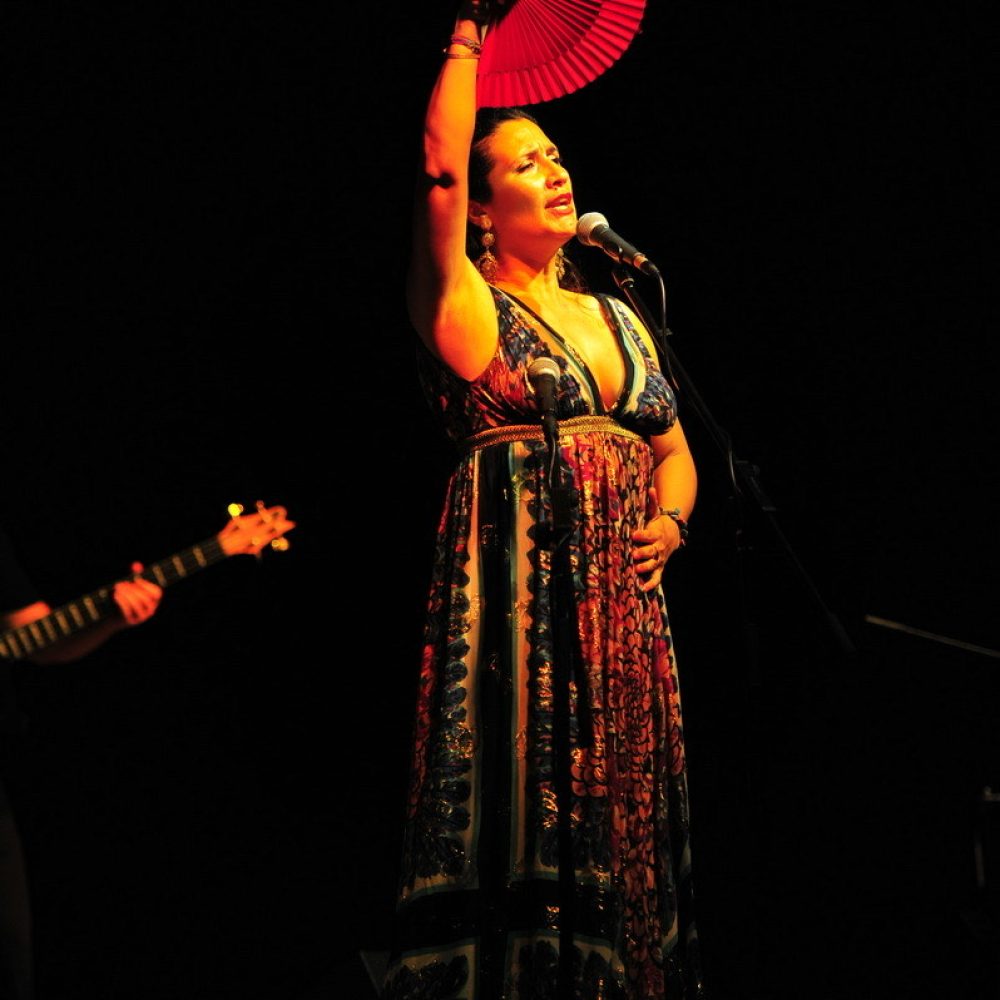 IMG_7451 IMG_7451